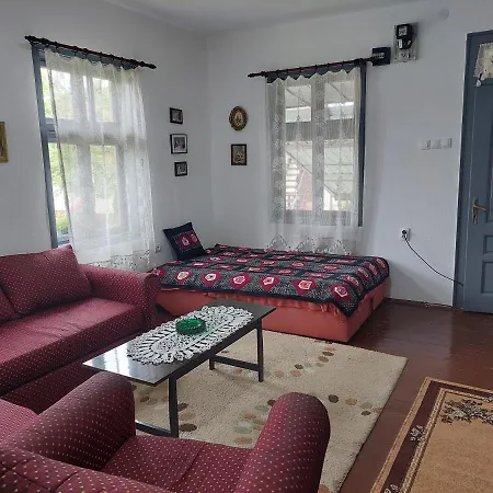 Apartment Petkovic 226 *