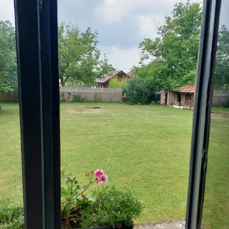 Apartment Petkovic 226 *