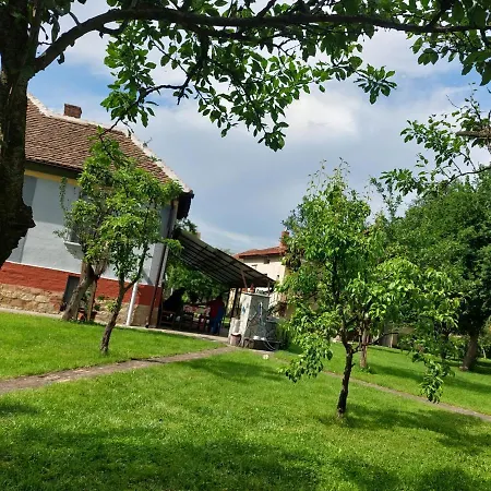 Petkovic 226 * Velika Drenova