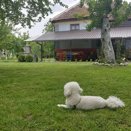 Apartment Petkovic 226